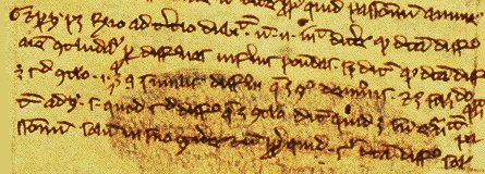 A photo of a manuscript from Erfurt, Germany